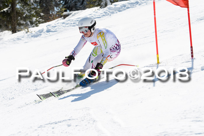 BZB Cuo Finale, Quali + Parallelslalom, 25.03.2018