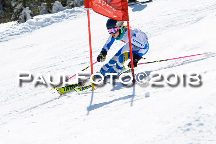 BZB Cuo Finale, Quali + Parallelslalom, 25.03.2018