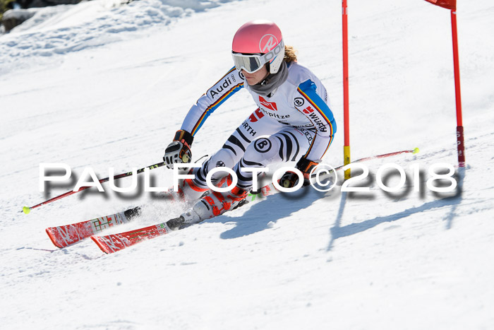 BZB Cuo Finale, Quali + Parallelslalom, 25.03.2018