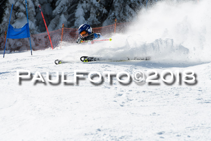 BZB Cuo Finale, Quali + Parallelslalom, 25.03.2018