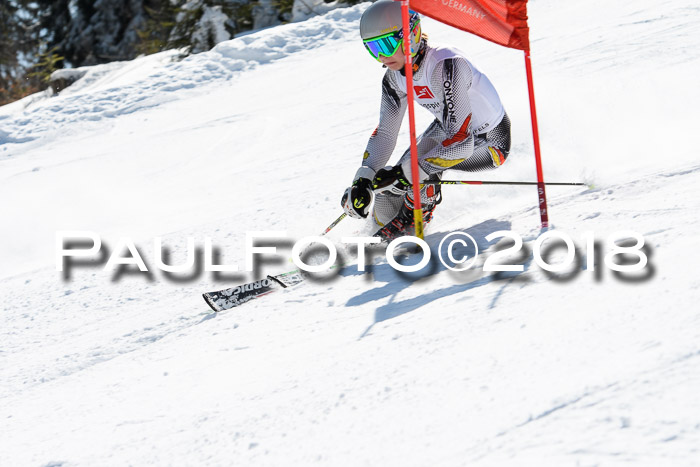 BZB Cuo Finale, Quali + Parallelslalom, 25.03.2018