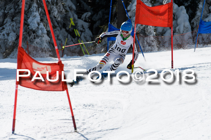 BZB Cuo Finale, Quali + Parallelslalom, 25.03.2018