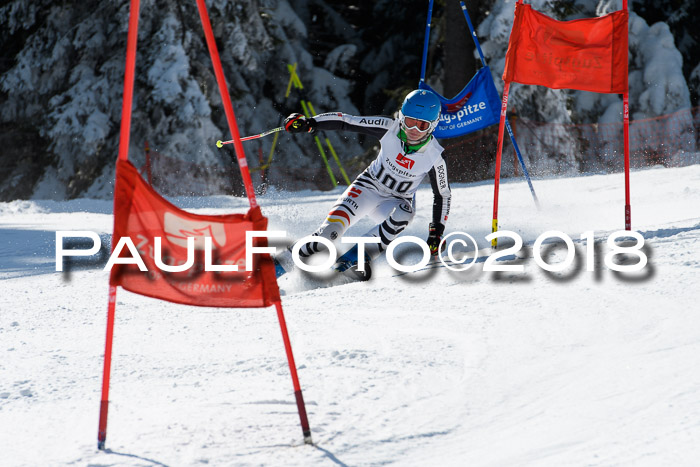 BZB Cuo Finale, Quali + Parallelslalom, 25.03.2018