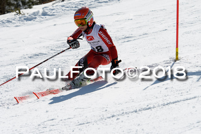 BZB Cuo Finale, Quali + Parallelslalom, 25.03.2018
