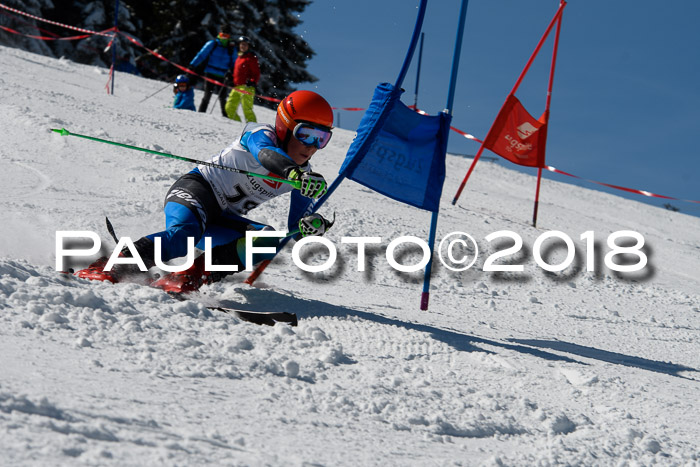 BZB Cuo Finale, Quali + Parallelslalom, 25.03.2018
