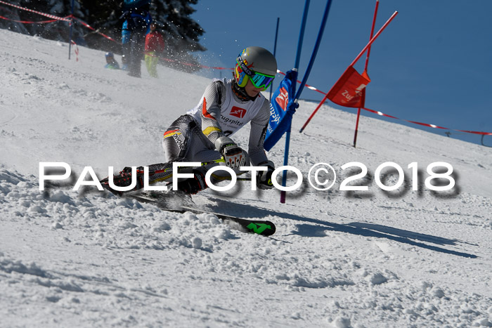 BZB Cuo Finale, Quali + Parallelslalom, 25.03.2018