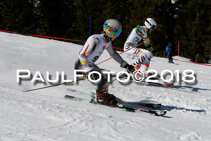 BZB Cuo Finale, Quali + Parallelslalom, 25.03.2018