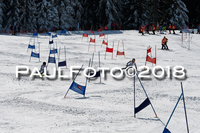 BZB Cuo Finale, Quali + Parallelslalom, 25.03.2018