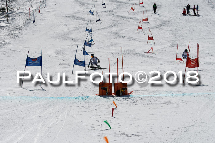 BZB Cuo Finale, Quali + Parallelslalom, 25.03.2018