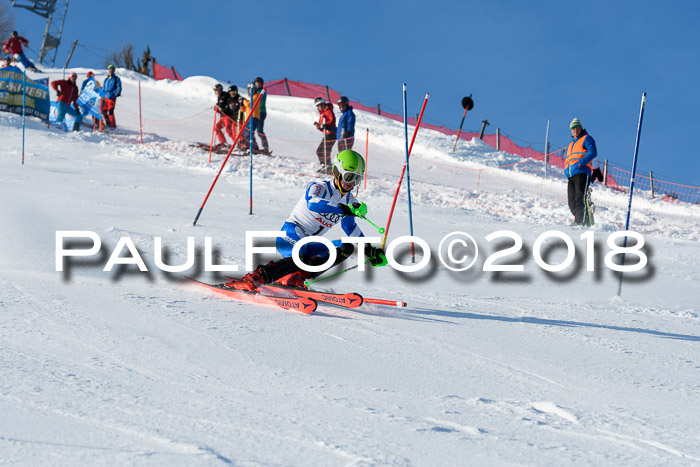 Int. Deutsche Meisterschaft Slalom Herren 25.03.2018