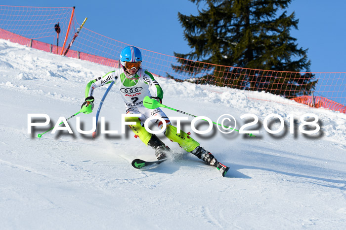 Int. Deutsche Meisterschaft Slalom Herren 25.03.2018