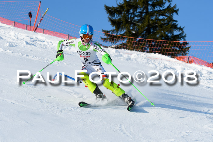 Int. Deutsche Meisterschaft Slalom Herren 25.03.2018