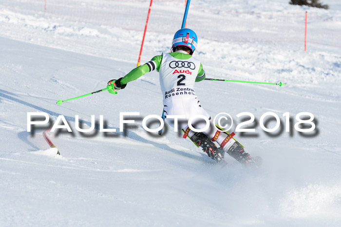 Int. Deutsche Meisterschaft Slalom Herren 25.03.2018