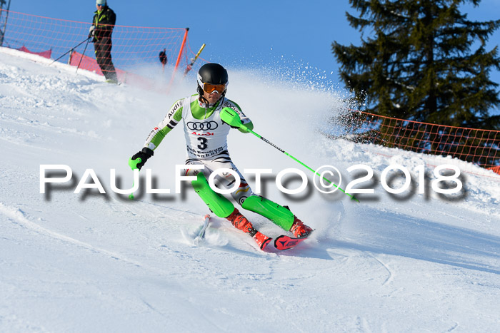 Int. Deutsche Meisterschaft Slalom Herren 25.03.2018