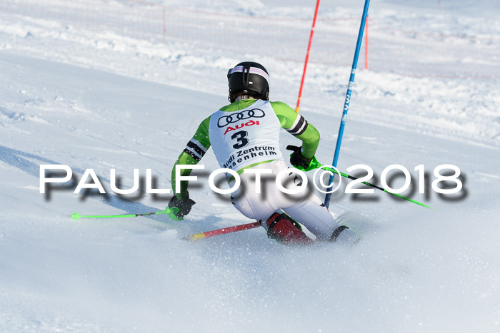 Int. Deutsche Meisterschaft Slalom Herren 25.03.2018