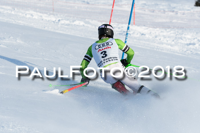 Int. Deutsche Meisterschaft Slalom Herren 25.03.2018