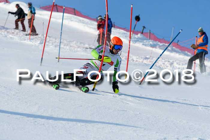 Int. Deutsche Meisterschaft Slalom Herren 25.03.2018