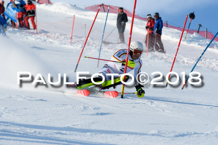 Int. Deutsche Meisterschaft Slalom Herren 25.03.2018