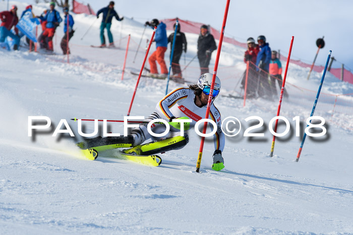 Int. Deutsche Meisterschaft Slalom Herren 25.03.2018