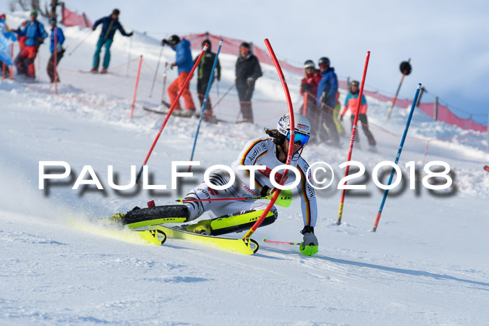 Int. Deutsche Meisterschaft Slalom Herren 25.03.2018