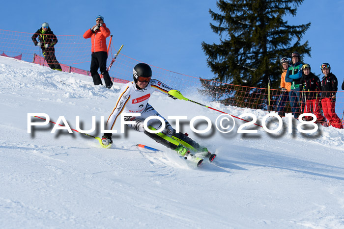 Int. Deutsche Meisterschaft Slalom Herren 25.03.2018