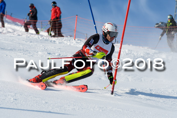 Int. Deutsche Meisterschaft Slalom Herren 25.03.2018