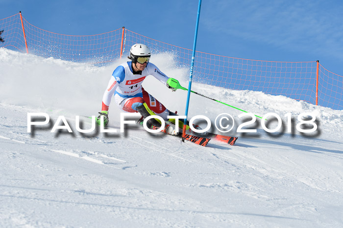 Int. Deutsche Meisterschaft Slalom Herren 25.03.2018