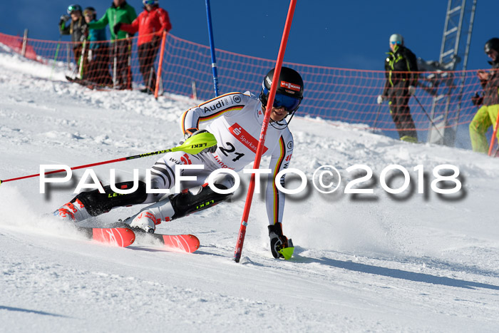 Int. Deutsche Meisterschaft Slalom Herren 25.03.2018