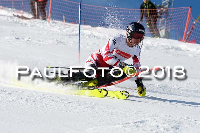 Int. Deutsche Meisterschaft Slalom Herren 25.03.2018