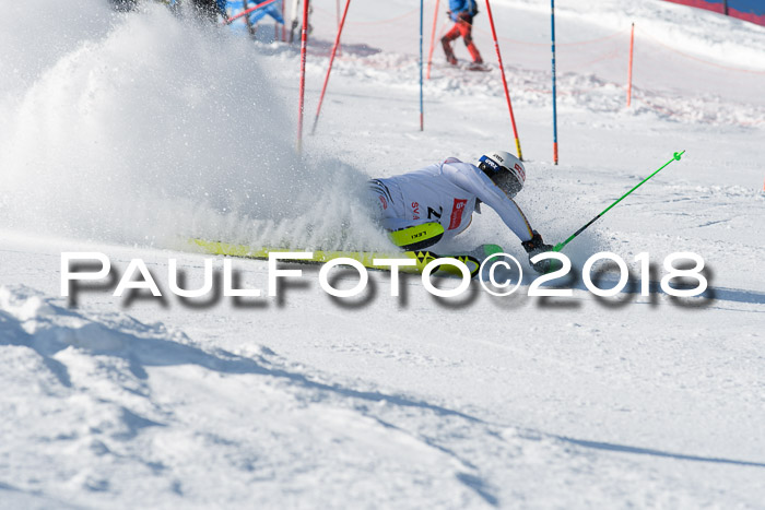 Int. Deutsche Meisterschaft Slalom Herren 25.03.2018