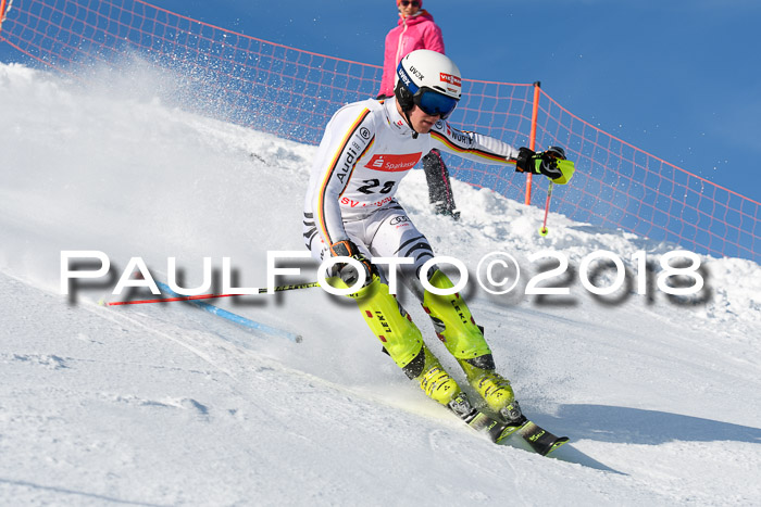 Int. Deutsche Meisterschaft Slalom Herren 25.03.2018