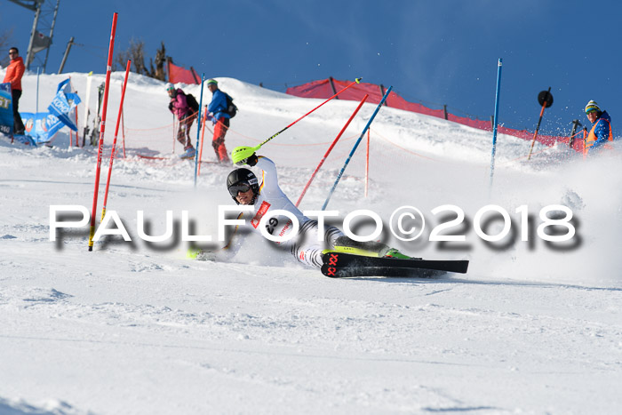 Int. Deutsche Meisterschaft Slalom Herren 25.03.2018