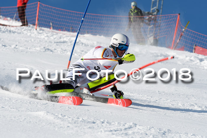 Int. Deutsche Meisterschaft Slalom Herren 25.03.2018