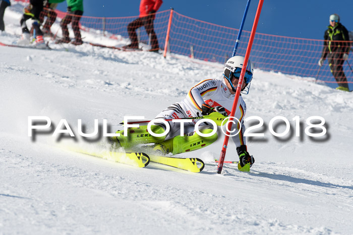 Int. Deutsche Meisterschaft Slalom Herren 25.03.2018