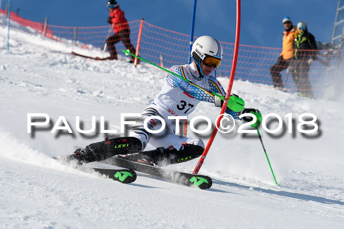 Int. Deutsche Meisterschaft Slalom Herren 25.03.2018