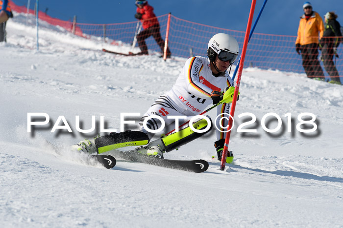 Int. Deutsche Meisterschaft Slalom Herren 25.03.2018