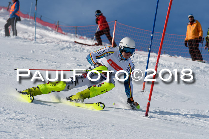 Int. Deutsche Meisterschaft Slalom Herren 25.03.2018