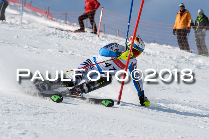 Int. Deutsche Meisterschaft Slalom Herren 25.03.2018