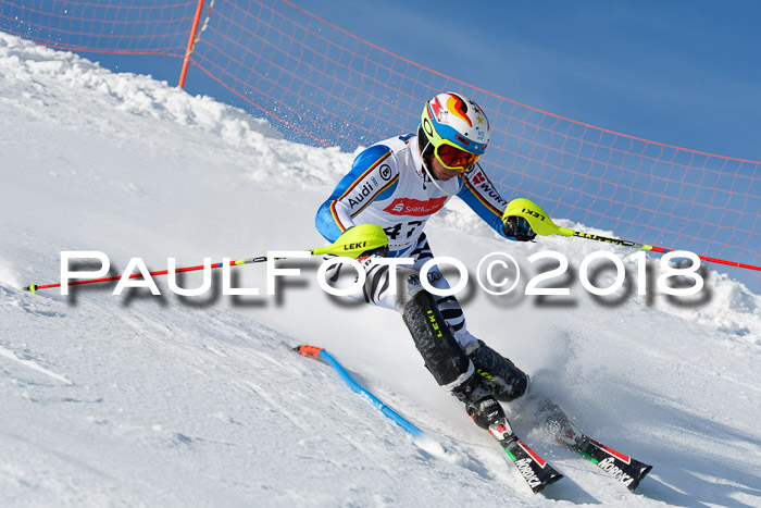 Int. Deutsche Meisterschaft Slalom Herren 25.03.2018