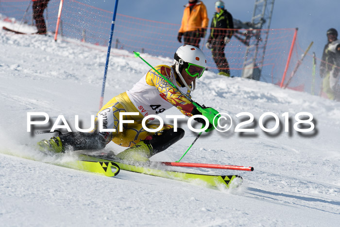 Int. Deutsche Meisterschaft Slalom Herren 25.03.2018