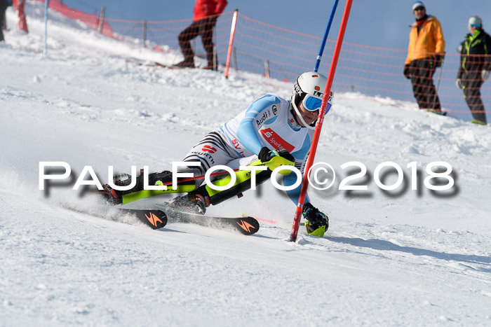 Int. Deutsche Meisterschaft Slalom Herren 25.03.2018
