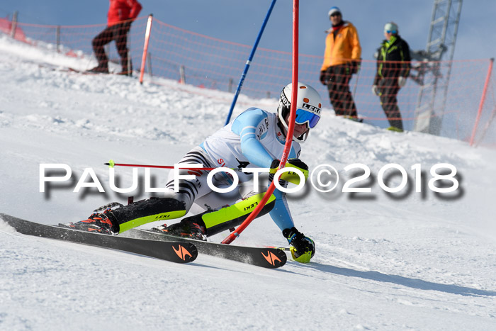 Int. Deutsche Meisterschaft Slalom Herren 25.03.2018