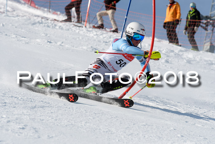 Int. Deutsche Meisterschaft Slalom Herren 25.03.2018