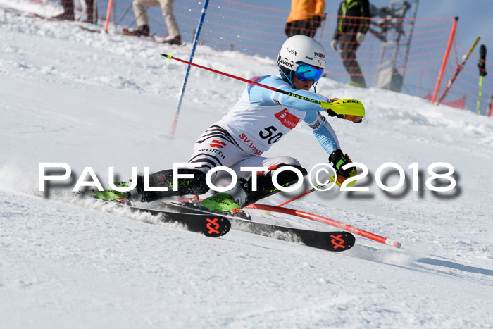 Int. Deutsche Meisterschaft Slalom Herren 25.03.2018