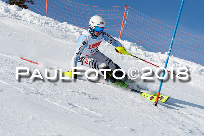 Int. Deutsche Meisterschaft Slalom Herren 25.03.2018