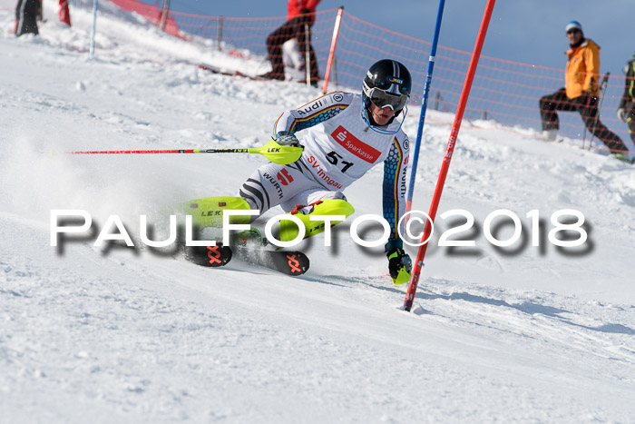 Int. Deutsche Meisterschaft Slalom Herren 25.03.2018