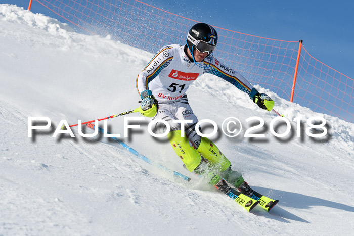 Int. Deutsche Meisterschaft Slalom Herren 25.03.2018