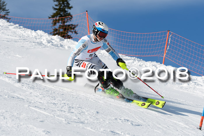 Int. Deutsche Meisterschaft Slalom Herren 25.03.2018