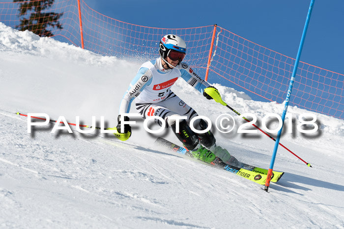 Int. Deutsche Meisterschaft Slalom Herren 25.03.2018