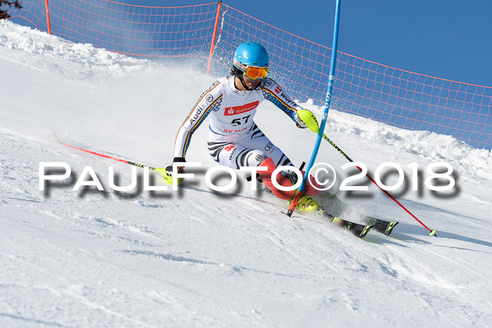 Int. Deutsche Meisterschaft Slalom Herren 25.03.2018